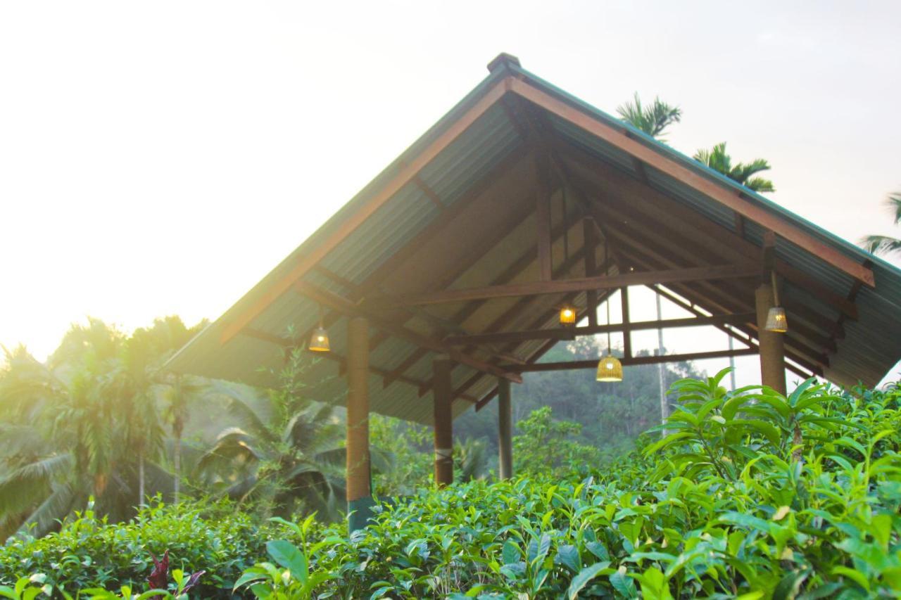 Rainforest Mount Lodge Deniyaya Buitenkant foto