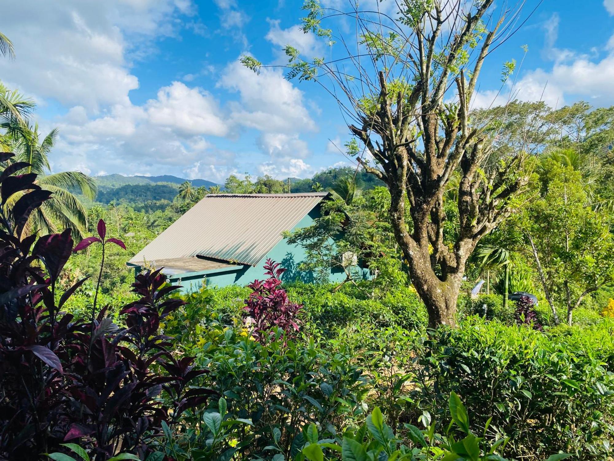 Rainforest Mount Lodge Deniyaya Buitenkant foto