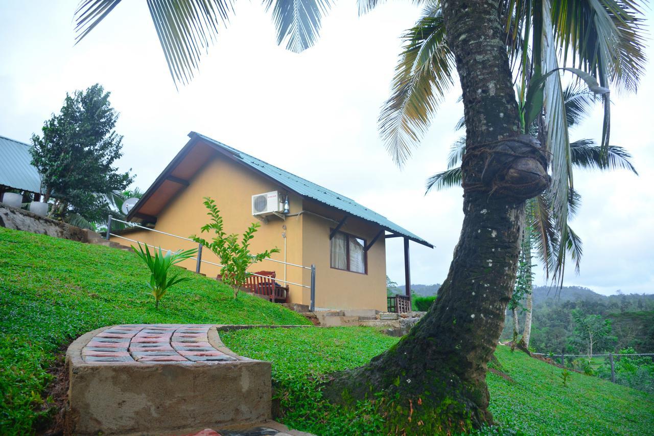 Rainforest Mount Lodge Deniyaya Buitenkant foto