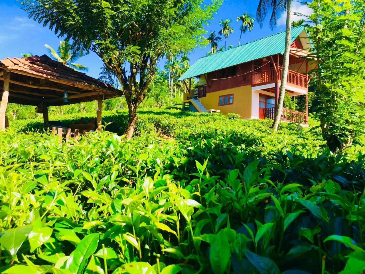 Rainforest Mount Lodge Deniyaya Buitenkant foto